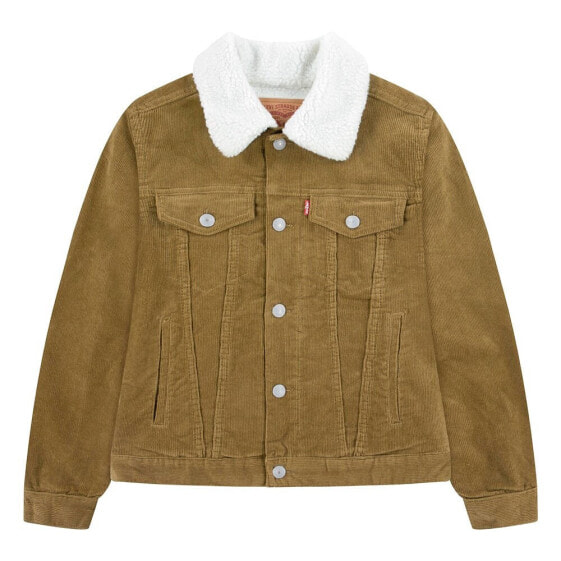 Куртка для мальчика Levi's Kids Corduroy Trucker Denim в коричневом цвете
