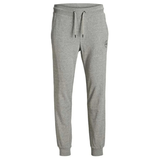 JACK & JONES Gordon Shark Pants