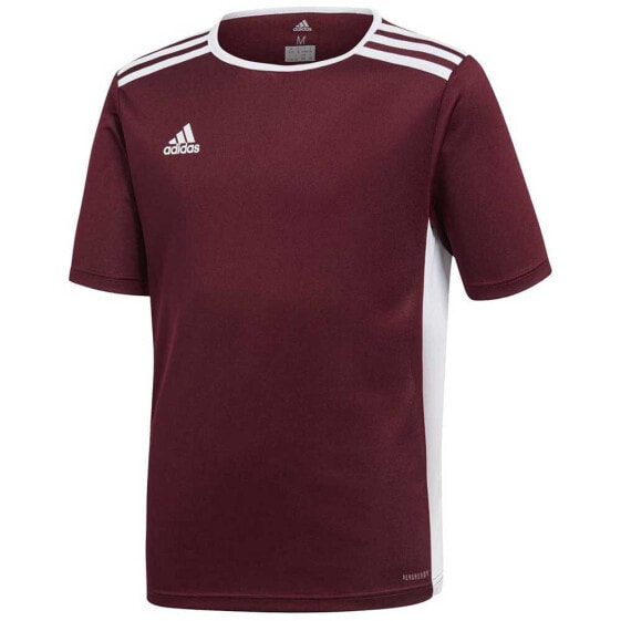 ADIDAS Entrada 18 short sleeve T-shirt