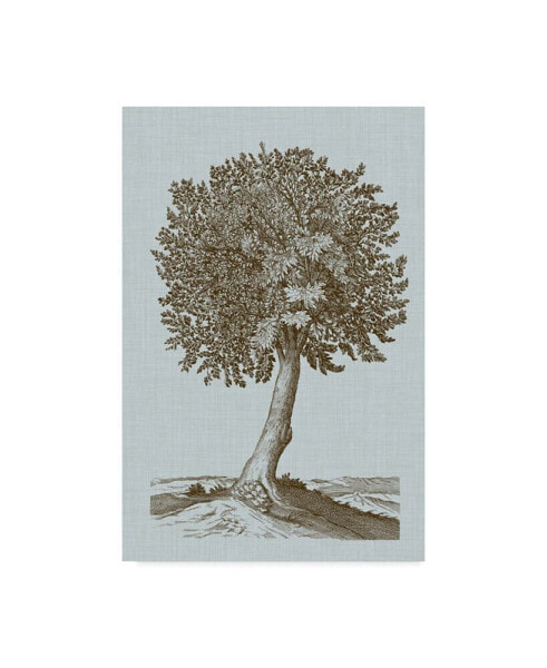Vision Studio Antique Tree in Sepia I Canvas Art - 37" x 49"
