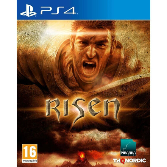 Видеоигра для Sony PlayStation 4 THQ Nordic Risen