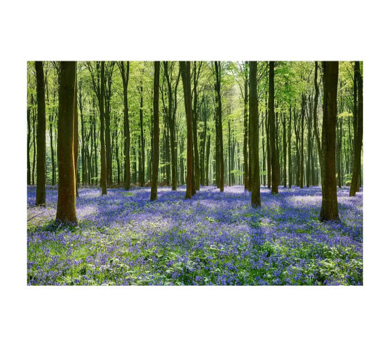 Mystical Bluebell Woodland Wandkunst