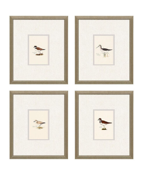 Shorebirds Framed Art, Set of 4