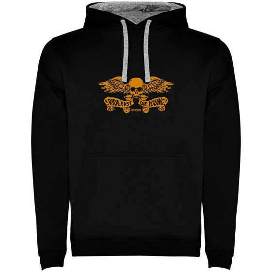 KRUSKIS Skull Wings hoodie