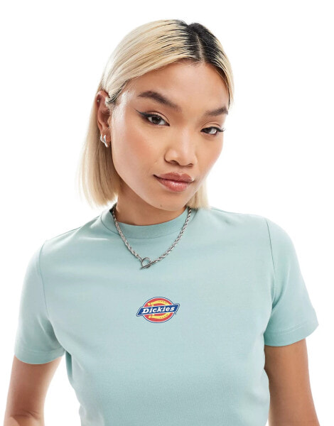 Dickies maple valley cropped t-shirt in blue