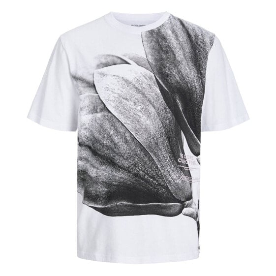 JACK & JONES Dunya short sleeve T-shirt