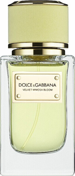 Dolce & Gabbana Velvet Mimosa Bloom