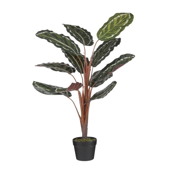 Искусственные цветы MICA Decorations Calathea Roseoptica