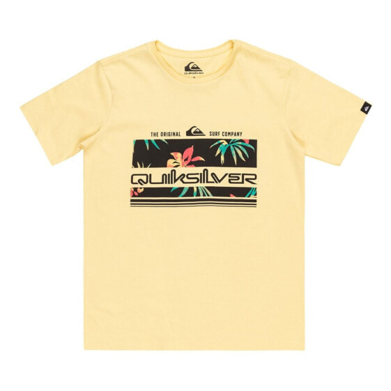 Футболка Quiksilver Tropical Rain короткий рукав