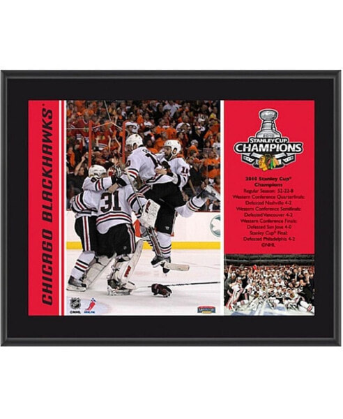 Chicago Blackhawks 2010 Stanley Cup Champions Plaque