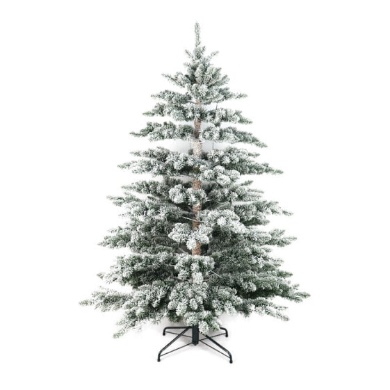 Weihnachtsbaum Purden