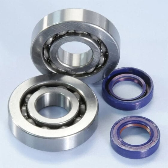 POLINI Piaggio Zip Bearings And Retentions Kit