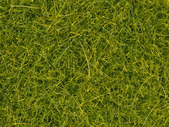 NOCH Scatter Grass - light green - Green