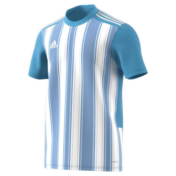 Мужская спортивная футболка голубая в полоску ADIDAS Striped 21 Short Sleeve T-Shirt