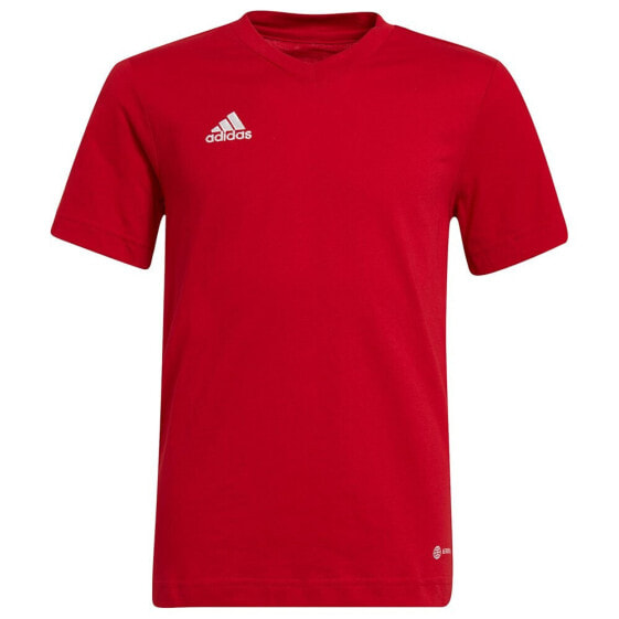 ADIDAS BADMINTON Entrada 22 short sleeve T-shirt