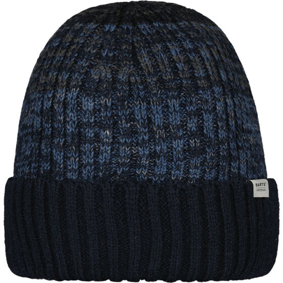 Шапка мужская Barts Prezley Beanie