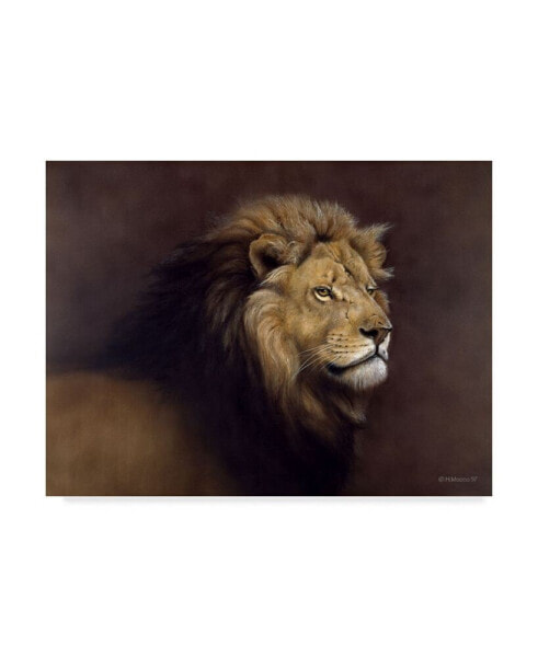 Harro Maass 'Lion Male' Canvas Art - 32" x 24"