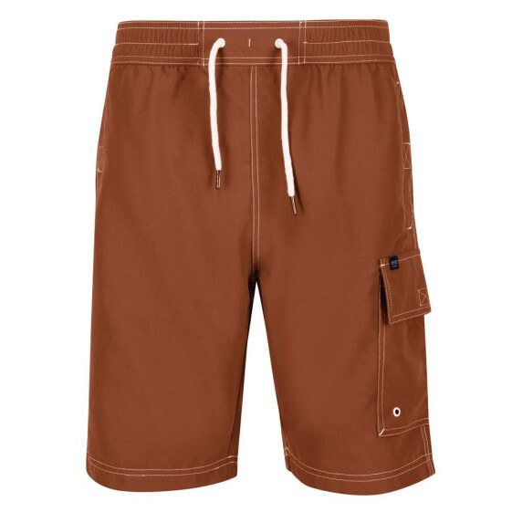 REGATTA Hotham IV Swimming Shorts