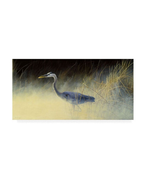Michael Budden Fishing the Mist Canvas Art - 15" x 20"