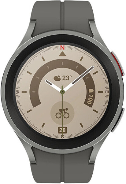 Часы Samsung Galaxy Watch5 PRO 45mm