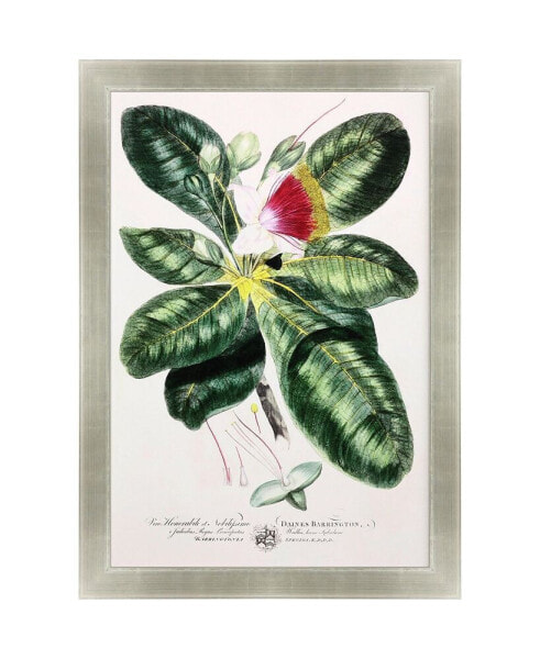 Imperial Tropical I Framed Art