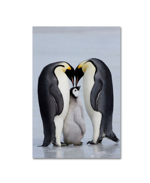 Robert Harding Picture Library 'Two Penguins' Canvas Art - 19" x 12" x 2"