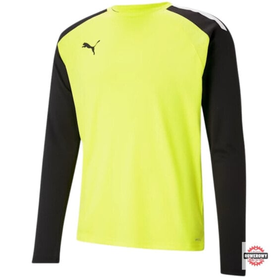 Puma Goalkeeper Jacket teamPACER GK LS M 704933 42