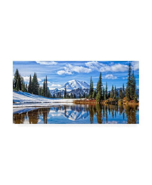 Картина на холсте Trademark Global Michael Broo Mt. Rainier Vista - 19,5" x 26"