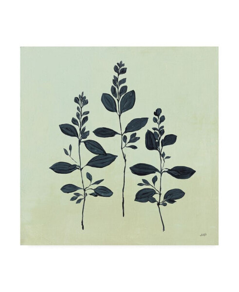 Julia Purinton Botanical Study IV Sage Canvas Art - 15.5" x 21"
