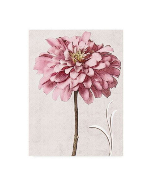 Christine Zalewski Pink Zinnia II Canvas Art - 19.5" x 26"