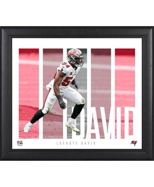 Lavonte David Tampa Bay Buccaneers Framed 15" x 17" Player Panel Collage