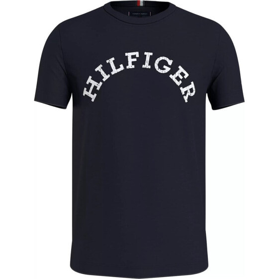 Футболка мужская Tommy Hilfiger MW0MW34432DW5