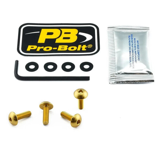 PRO BOLT SCR 4 SK416G Windshield Screws