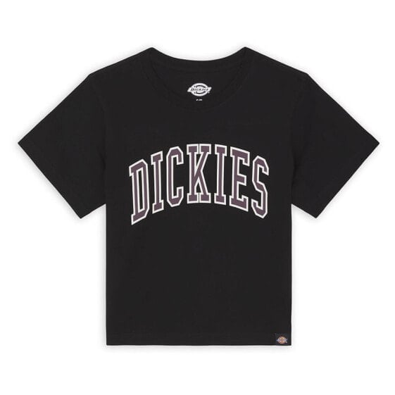 DICKIES Aitkin short sleeve T-shirt