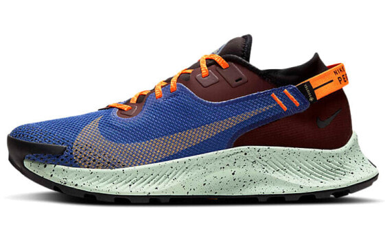 Кроссовки мужские Nike Pegasus Trail 2 Zoom GORE-TEX снизу сине-коричневые