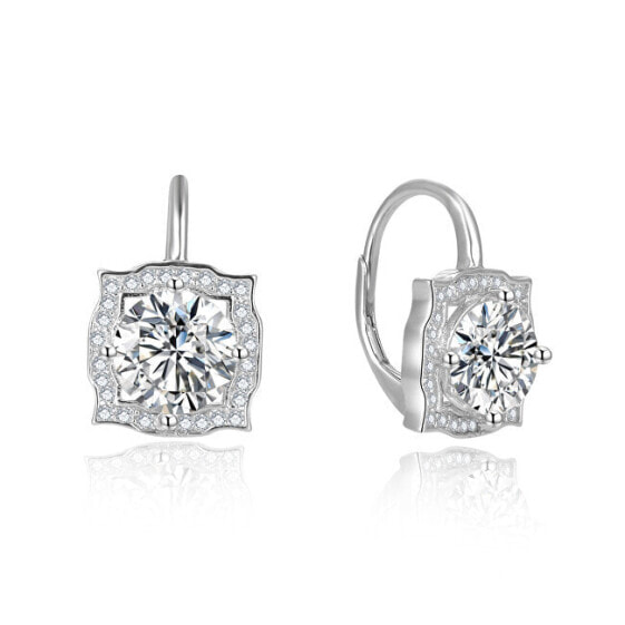 Silver glittering earrings AGUC2694