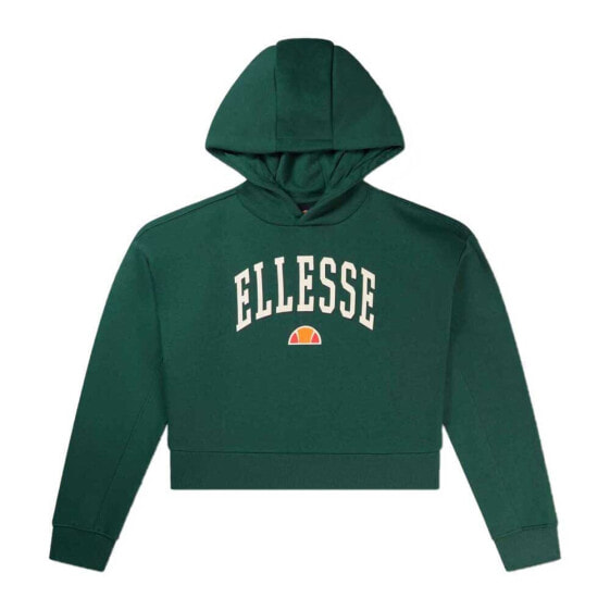 ELLESSE Lacase Crop hoodie