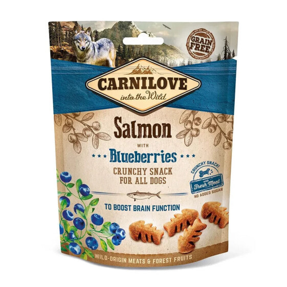 CARNILOVE Canine Crunchy Salmon Blueberries Box 6x200g