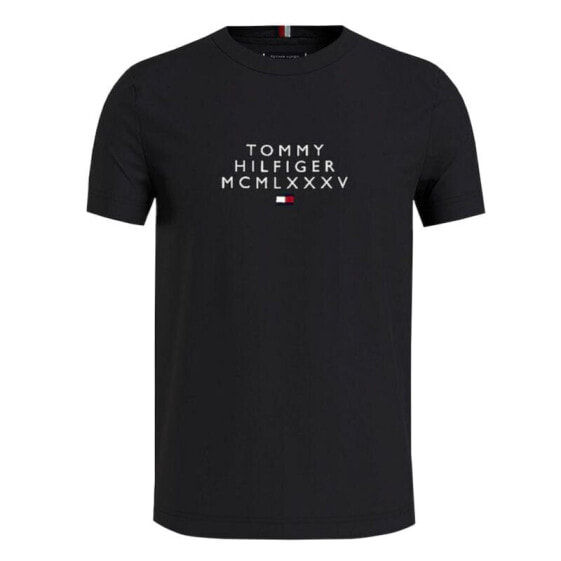 Tommy Hilfiger Small Center M T-shirt MW0MW24964