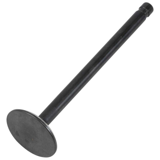 KIBBLEWHITE 20-20092 Exhaust Valve