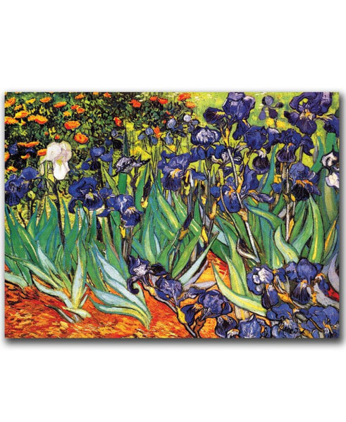 Vincent van Gogh 'Irises at Saint-Remy' Canvas Art - 47" x 35"