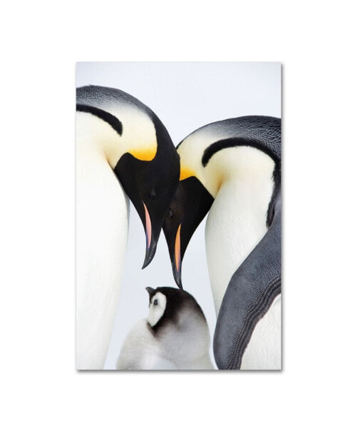 Robert Harding Picture Library 'Baby Penguin' Canvas Art - 19" x 12" x 2"
