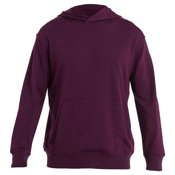 ICEBREAKER Shifter II Merino hoodie