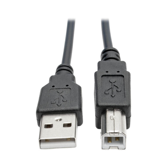 Tripp U022-010-COIL USB 2.0 A to B Coiled Cable (M/M) - 10 ft. (3.05 m) - 3.1 m - USB A - USB B - USB 2.0 - Male/Male - Black