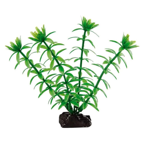 FERPLAST F69055000 3.5x2x10 cm Aquarium Plastic Plant