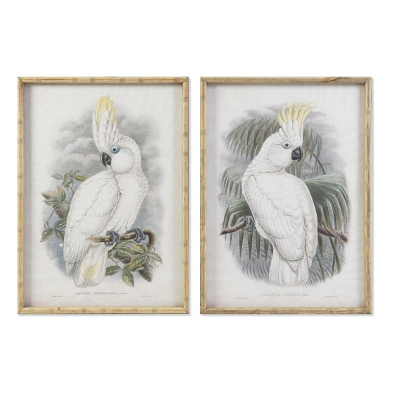 Картина DKD Home Decor 50 x 2,8 x 70 cm Колониальный Попугай (2 штук)