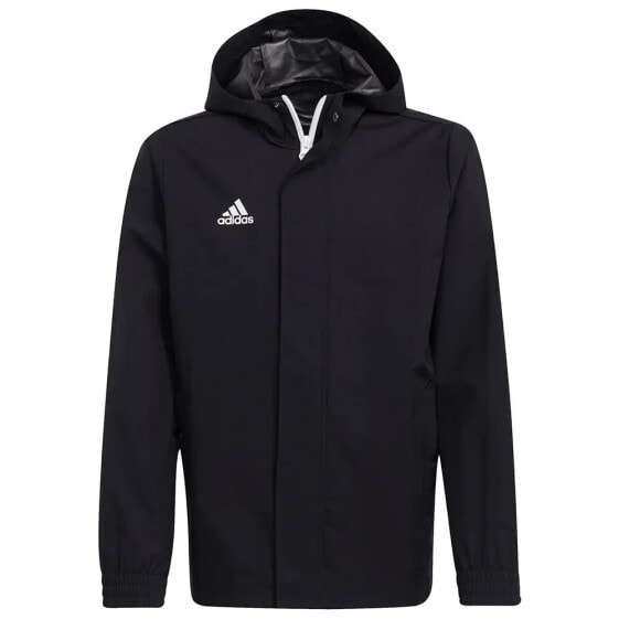 ADIDAS Entrada 22 AW Jacket