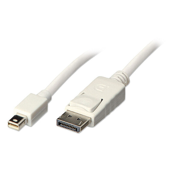 Адаптер Mini DisplayPort — DisplayPort LINDY Белый