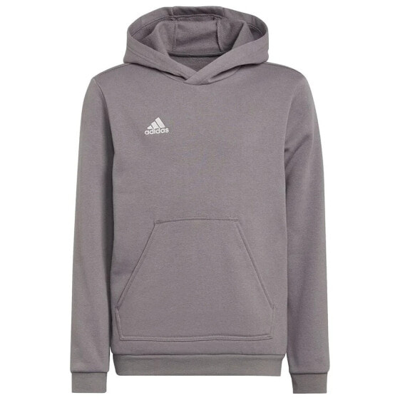 ADIDAS Entrada 22 hoodie