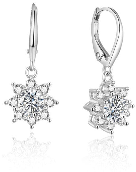 Silver glittering earrings AGUC1842